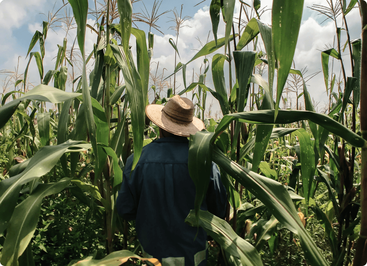 Male Farmer